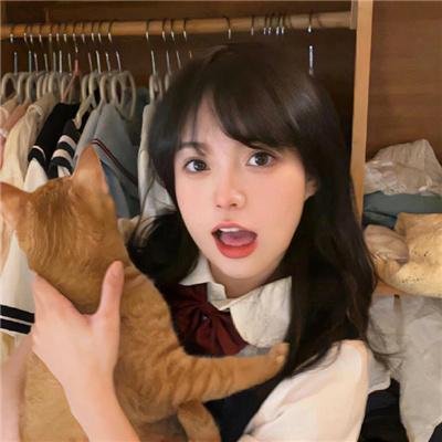 铁耙